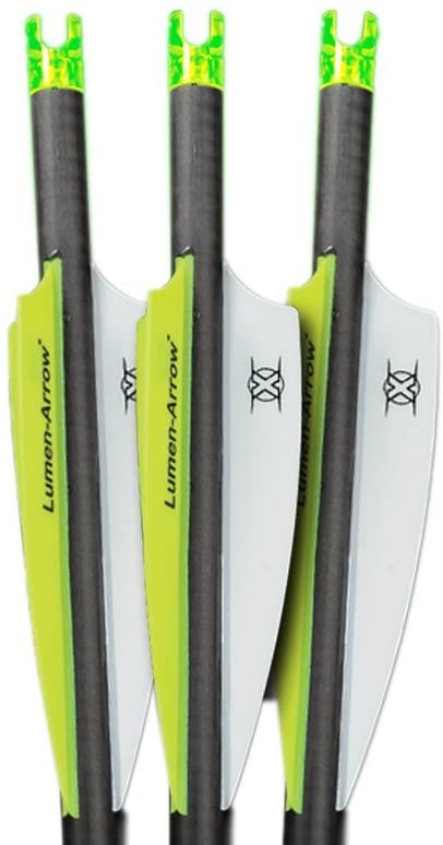 Lumenok Lumen-Arrow 20-Inch Carbon Bolts with Capture Nock (3-Pack), Green