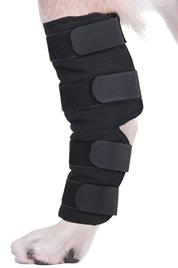Agon Canine Dog Hock Brace Rear Leg Joint Wrap Protects Wounds as They Heal, Compression Wrap, Heals and Prevents Injuries and Sprains Helps with Loss of Stability Caused by Arthritis