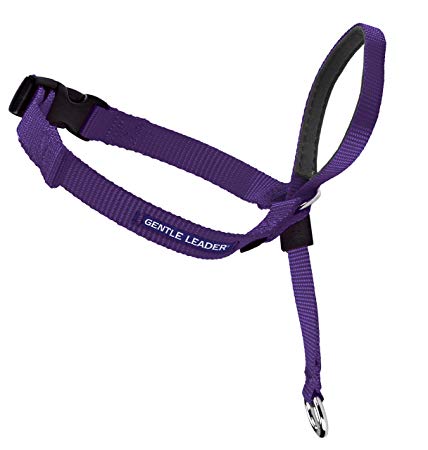 PetSafe Gentle Leader Headcollar, No-Pull Dog Collar