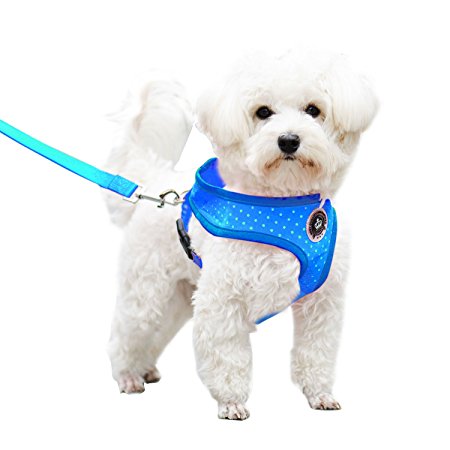 Soft Mesh Polka Dots Dog Harness with Matching Leash