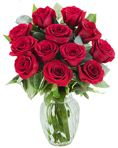KaBloom The Romantic Classic Bouquet of 12 Fresh Red Roses (Farm-Fresh, Long-Stem) with Vase
