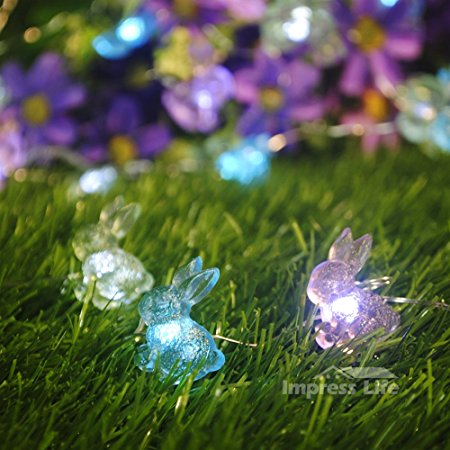 IMPRESS LIFE Rabbit Lights String on Silver Plated Copper Wire 10 ft 40 LEDs with Remote for Garden, Indoor, Covered Outdoor, Christmas, Wedding, Birthday, Baby Shower, Home Parties Ornament