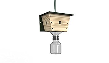 Best Bee Brothers - Carpenter Bee Trap