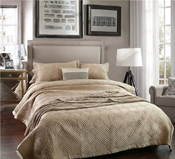 Adream Faux Silk/Cotton Floral Pattern Quilted Bedspread Coverlet Quilt Comforter, Queen (86"*94") (1PC, Champagne)