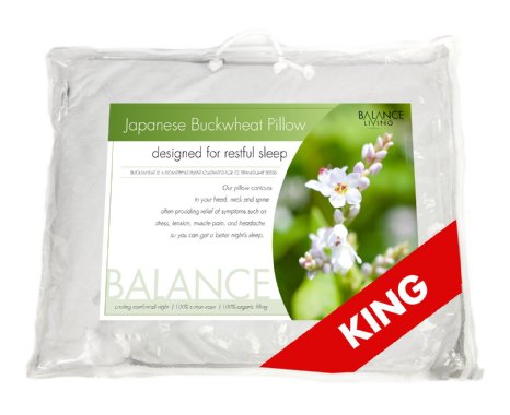 Balance Living Buckwheat Pillow KING Size 20x36 100 Organic Cotton Cover