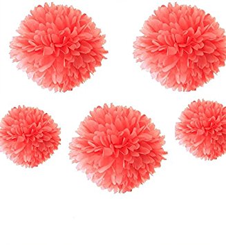 Fonder Mols Pack of 5 10" and 14" CORAL Party Tissue Paper Pom Poms Flower Ball Wedding Bridal Shower Party Decoration