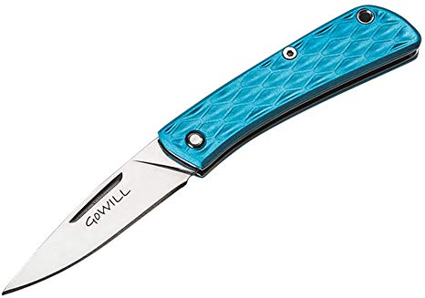 Folding Pocket Mini Knives Keychain Knives Every Day Carry EDC Knives Ultralight Compact Knife Stainless Steel Small Knife, Men Gift Knife, Outdoor Hunting Camping Knife, (Blue-A)