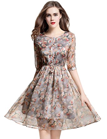 DanMunier Women's Floral Printed Chiffon Fit-and-Flare Wrap Dress