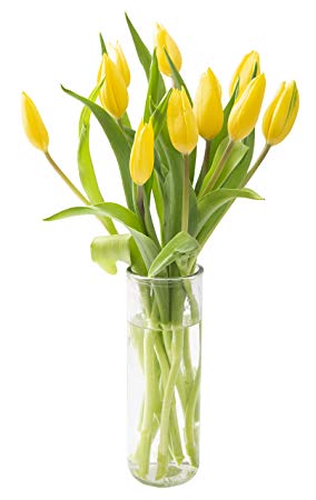 KaBloom Bouquet of Fresh Yellow Tulips with Vase (Farm-Fresh, Cut-to-Order and Homegrown in the USA)