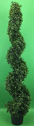 Boxwood Spiral Topiary Tree Indoor Outdoor UV Rated 4 Foot Potted. Free Returns!