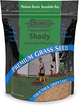 F.M. Brown's Premium Grass Seed Green Turf Shady Mixture for Dense, Dark Shade, 5lb