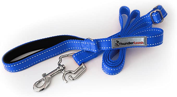 ThunderLeash No-Pull Dog Leash (Small (12 to 25 lbs), Blue)