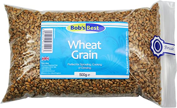 Wheat Grain - All Natural - 500g