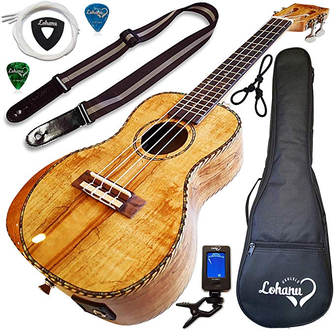 Ukulele from Lohanu Amazing Looking Spalted Maple with Armrest Glossy Finish with 3 Band EQ & Pickup with All Accessories Included! (Concert Size)