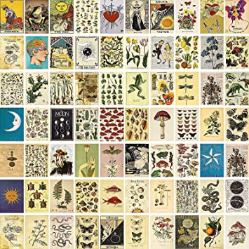 SUPOW Vintage Wall Collage Kit 70pcs, Aesthetic Room Decor Pictures, Cottagecore Botanical Wall Art Illustration, Dorm Decor Photo Prints, Vintage Tarot Posters, Trendy Bedroom Decor for Teen Girls