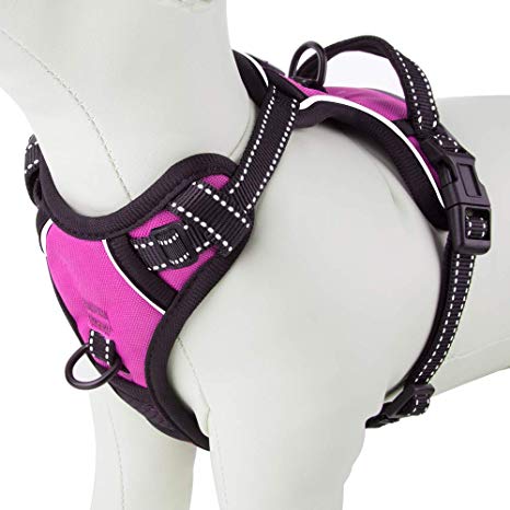 PHOEPET No Pull Dog Harness 3M Reflective Adjustable with 2 Metal Leash Hooks and Soft Training Handle [Over The Head Design]
