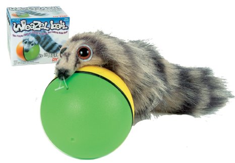 Westminister Weazel Ball - The Weasel Rolls with Ball