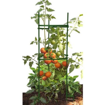 Gardener's Blue Ribbon STEZ1 Stake-It-Easy Plant-Staking System