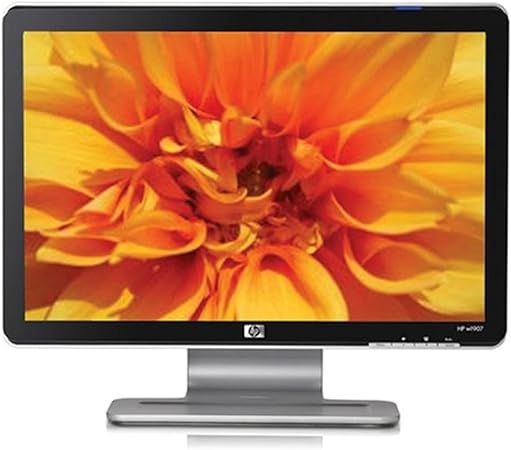 HP W1907 19-inch Widescreen Flat Panel LCD Monitor