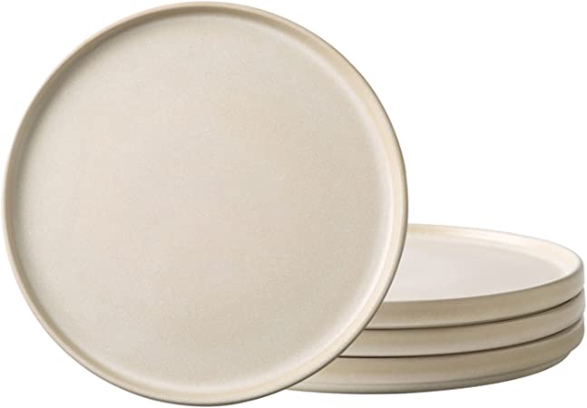 AmorArc Stoneware Dinner Plates Set of 4, 10.25 Inch Reactive Matte Glaze Ceramic Plates Set, Modern Dinnerware Dish set for Kitchen,Microwave, Dishwasher Safe, Scratch Resistant - Ivory