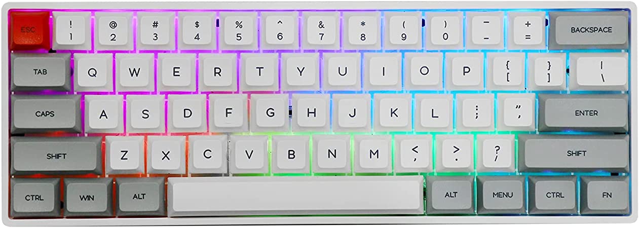 EPOMAKER SKYLOONG SK61 61 Keys Hot Swappable Mechanical Keyboard with RGB Backlit, NKRO, Water-Resistant, Type-C Cable for Win/Mac/Gaming (Gateron Optical Black, Grey)