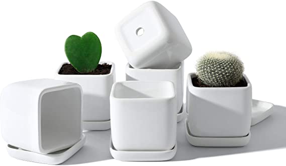 POTEY 051108 Square Succulent Plant Pot - 3.5 Inch White Ceramic Small Planters for Cactus Succulent with Drainage Hole & Saucer, Set of 6