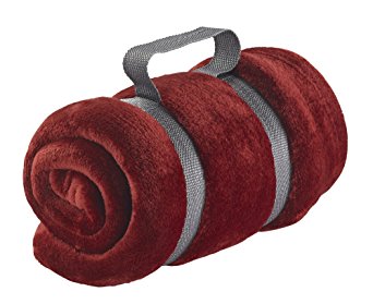 Lewis N Clark Microplush Blanket