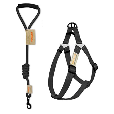 Best Pet Supplies, Inc. Voyager No-Pull Adjustable Step-In Harness with 3 ft. Leash