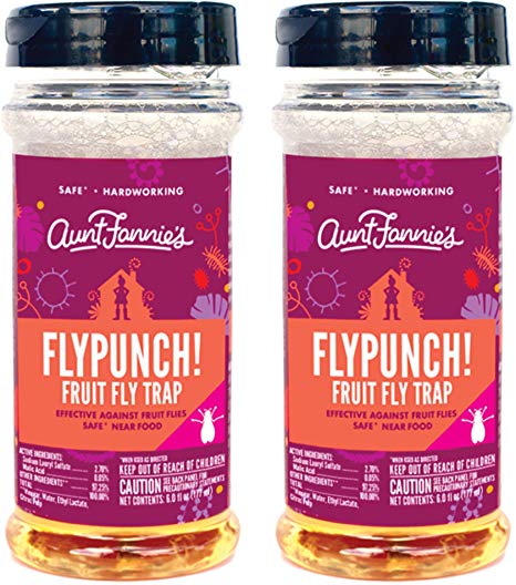 Aunt Fannie's - FlyPunch Non-Toxic Fruit Fly Trap - Kill Fruit Flies - for Indoor Use (2-Pack)