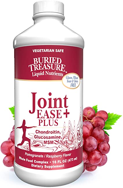 Buried Treasure Joint Ease Plus Nutritional Support Featuring Grape Seed Extract, MSM, Glucosamin, Curcumin in Liquid Vegetarian Safe Formulation 16 oz
