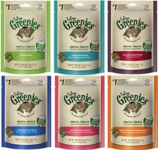 Greenies Dental Cat Treats Variety Pack - 6 Flavors (Tempting Tuna, Savory Salmon, Ocean Fish, Succulent Beef, Oven Roasted Chicken, and Catnip Flavor) - 2.5 Ounces Each (6 Total Pouches)