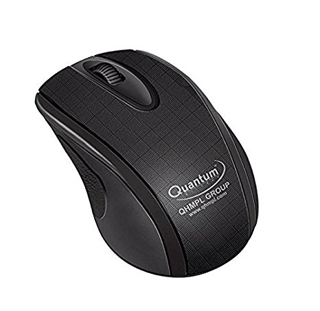 Quantum QHMPL QHM240 Wired Optical Mouse(USB, Black)