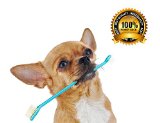 Dog Toothbrush Set with Two Dual Double Headed Toothbrushes By Legacy Pet Supplies