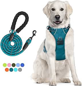 PoyPet No Pull Dog Harness and 5 Feet Leash Set, Release on Neck Reflective Adjustable Pet Vest, Front & Back 2 D-Ring and Soft Padded Pet Harness with Handle for Small to Large Dogs(Tumalo Teal,L)