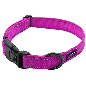 Max and Neo NEO Nylon Buckle Reflective Dog Collar - We Donate a Collar to a Dog Rescue for Every Collar Sold