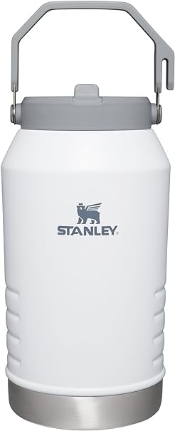 Stanley IceFlow Stainless Steel Tumbler with Straw, Vacuum Insulated Water Bottle for Home, Office or Car, Reusable Cup with Straw Leakproof Flip