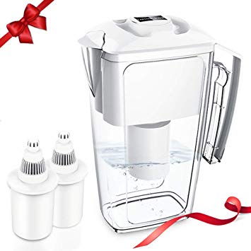 OXA Large 10 Cup Water Filter Pitcher, BPA-Free, 2.5 L, with 2X 60-Day Filters, White