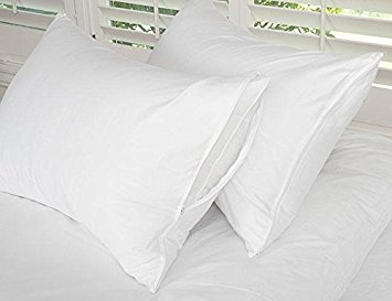 Cotton Zippered Pillow Protector Pair White / King