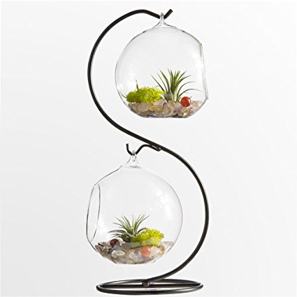 Mkono Glass Vase Plant Terrarium with Metal Stand, 2 Globe