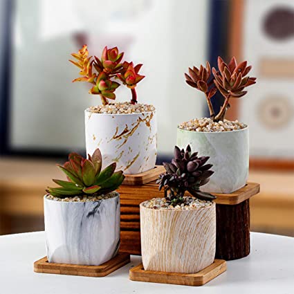 ARTKETTY 3 Inch Succulent Planter Pots, Mini Marble Cactus Plant Pots with Bamboo Tray for Indoor Plants, Round Ceramic Flower Planter Container with Drainage Hole, Set of 4