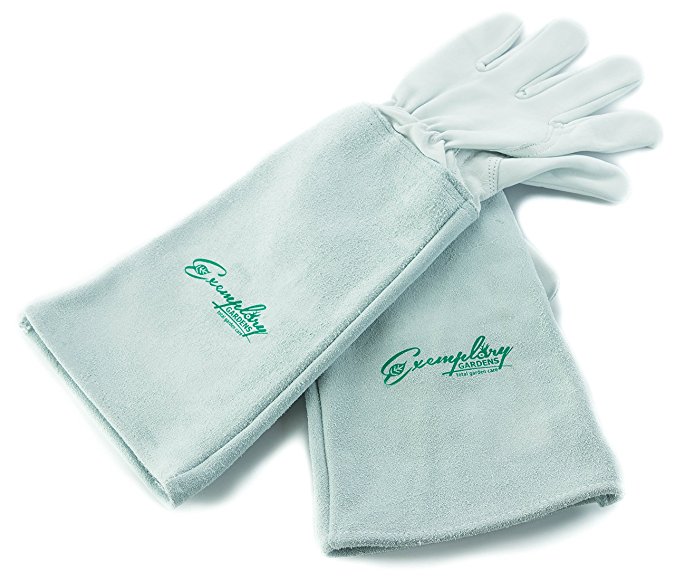 Rose Pruning Gloves for Men and Women. Thorn Proof Goatskin Leather Gardening Gloves with Long Cowhide Gauntlet to Protect Your Arms Until the Elbow (Extra Small)