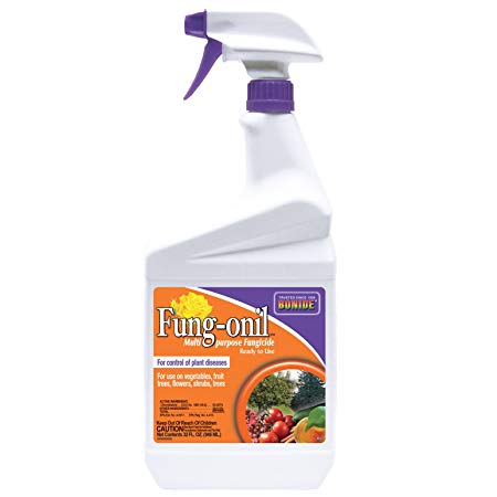 Bonide Products 883 Ready-to-Use Fungicide, 32-Ounce