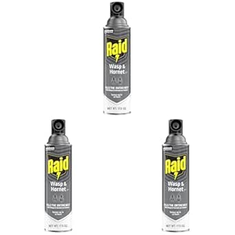 Raid Wasp and Hornet Killer (17.5 Ounce (Pack of 3))