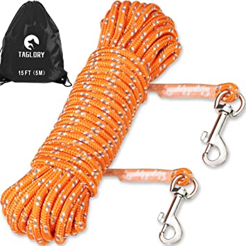 Taglory Check Cord/Tie Out, Long Leash for Dog Training, 15/30/50 FT Nylon Rope with Reflective Stitching for Small Dogs, Great for Swimming, Walking, Camping, Orange