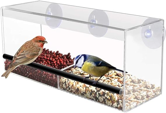 CLEAR WINDOW BIRD FEEDER LARGE SEED PEANUT STRONG HANGING SUCTION CUPS PERSPEX TRANSPARENT VIEWING WITH DRAIN HOLES