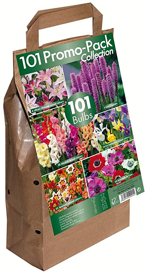 GreenBrokers Promo Pack Summer Flowering (101 Bulbs)