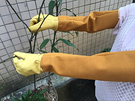 Durable Leather Rose Pruning Gardening Gloves Puncture Resistant Yard Work Gloves Pruning Gloves for Gardener Orchardist Farmer Owner Men Women HCT08-US (# L)