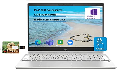 2020 HP Pavilion 15 15.6" FHD Touchscreen Laptop, 10th Gen Intel Quad-Core i5 1035G1 up to 3.6GHz, 12GB DDR4 RAM 256GB PCIe SSD WiFi for Business and Education Windows 10 Pro | 32GB Tela USB Card