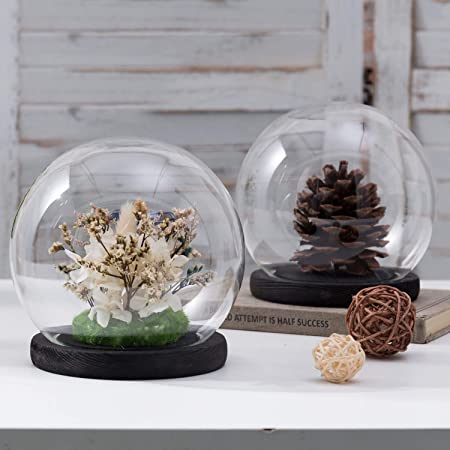 MyGift 6-inch Clear Glass Terrarium & Keepsake Display Globe Cloche with Black Stain Wood Base, Set of 2