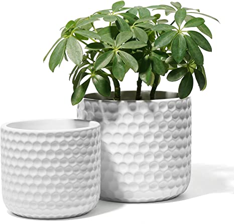 POTEY 6 and 5 Inch Ceramic Planter with Drainage Hole for Indoor and Outdoor Plant, 813, White